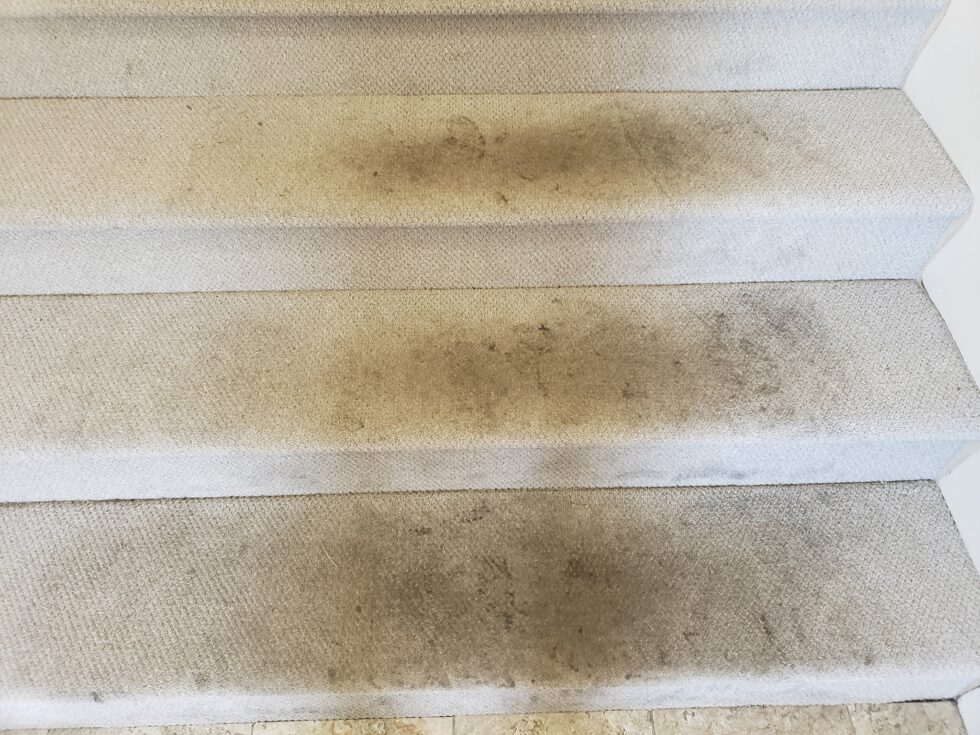 Troy West Carpet & Upholstery Cleaning Vermont carpet cleaning