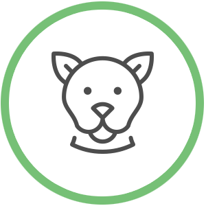 pet hair and dander allergy icon